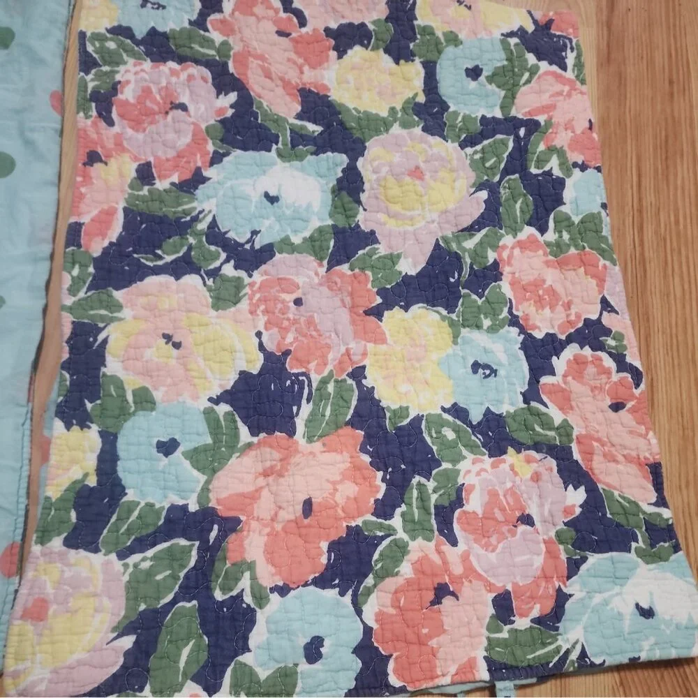 Crown and ivy quilted pillow shams florals and polka dots standard size colorful